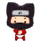 :ninja-raccoon-emoticon: