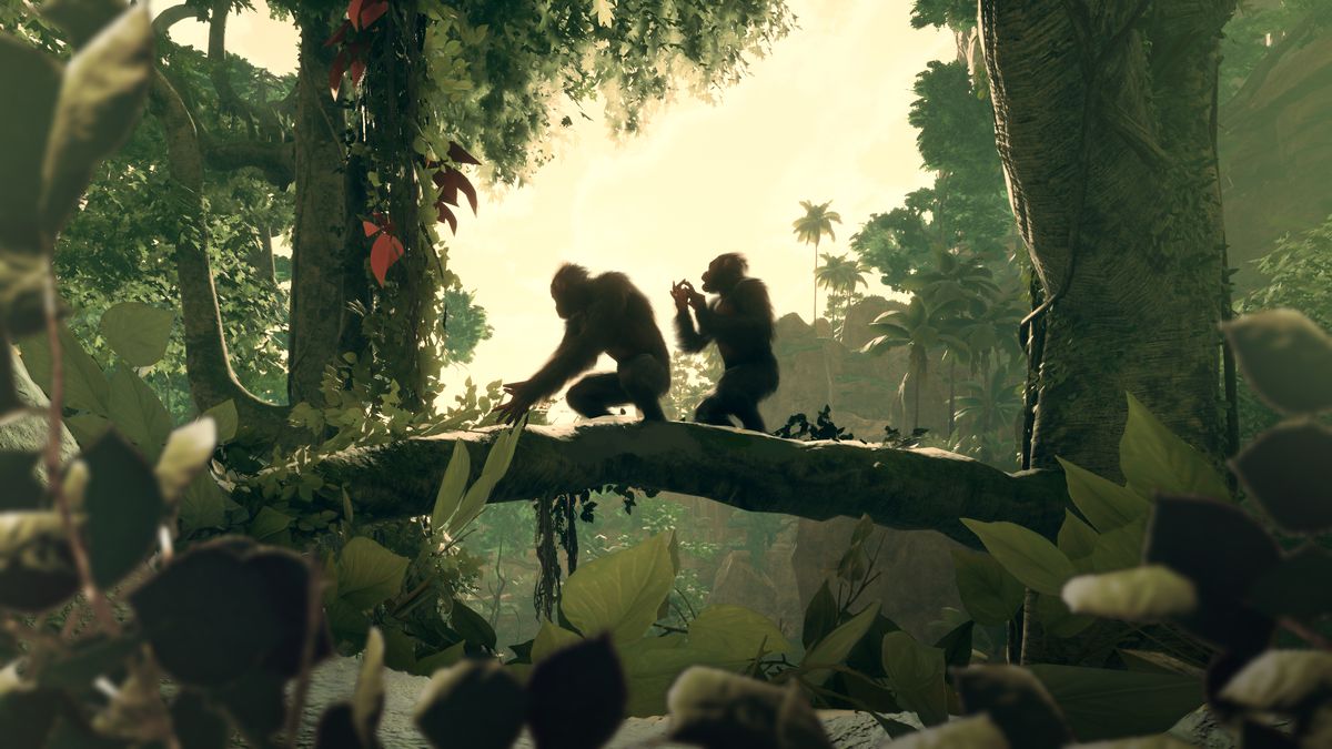 Ancestors Screenshot Grooming SettingSun.0