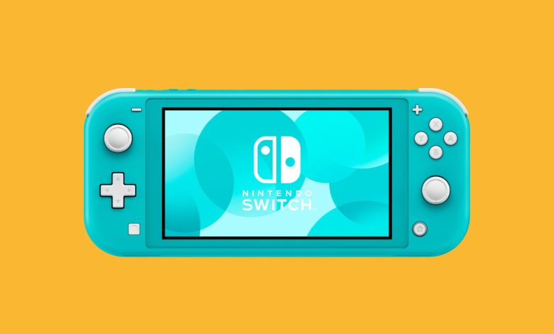 Gear NintendoSwitchLite artwork 02 NintendoSwitch