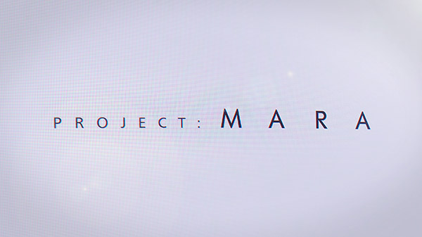 Project MARA 01 22 20