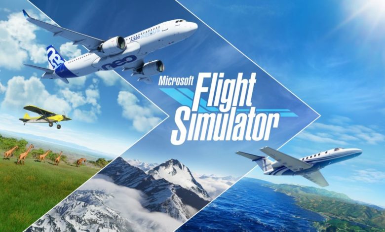 Microsoft Flight Simulator