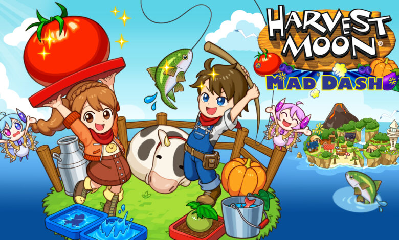 harvest moon mad dash switch hero