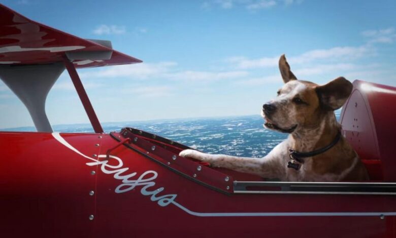 Microsofts best commercial features dogs in Halo and Minecraft 990x