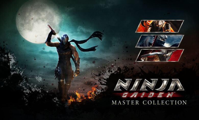 ninja gaiden master collection switch hero