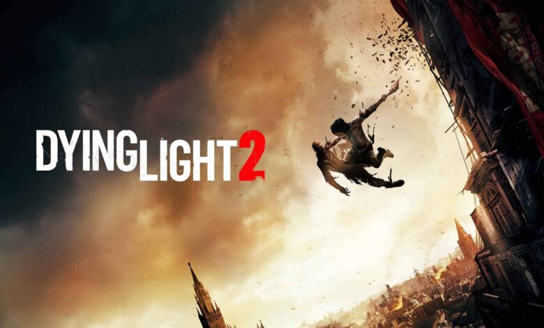 dying light 2 1 dying light 2 1