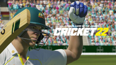 Cricket 22