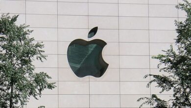 apple slide apple slide